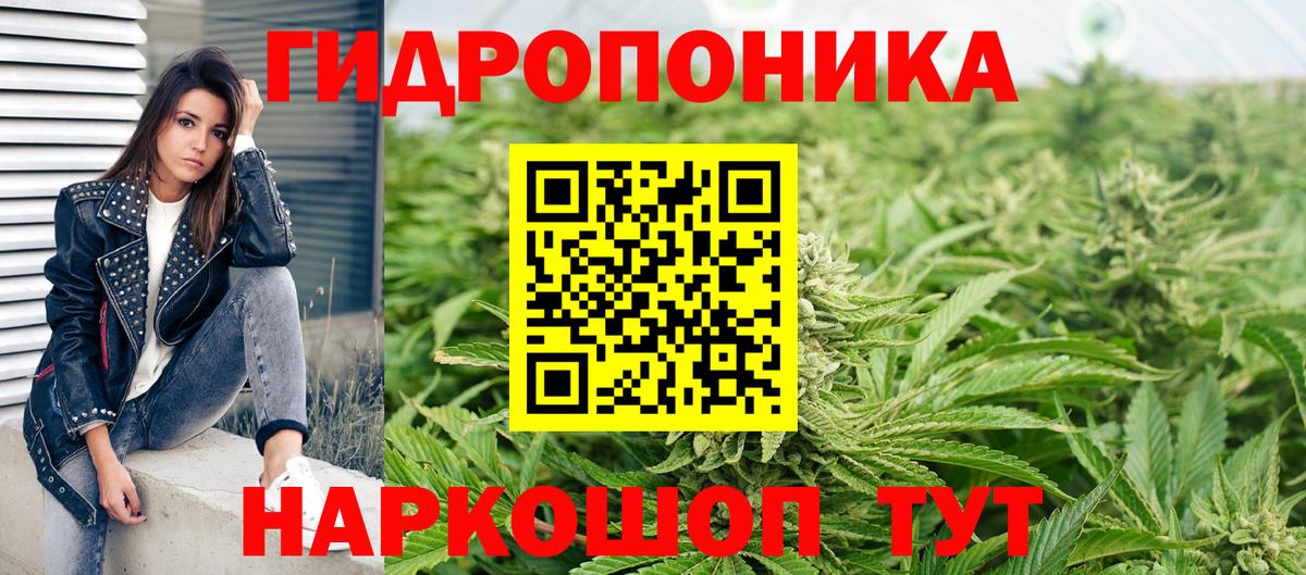 Псилоцибиновые грибы Назрань